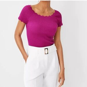 Ann Taylor Vibrant Knit Top